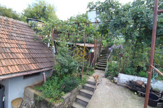 IMG_5970