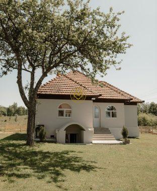 IMG-20260208-WA0009 – Copy