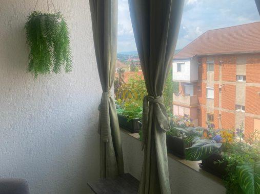 IMG-20260924-WA0015